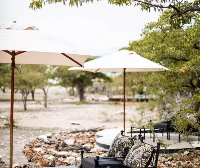 هتل Etosha Oberland Lodge