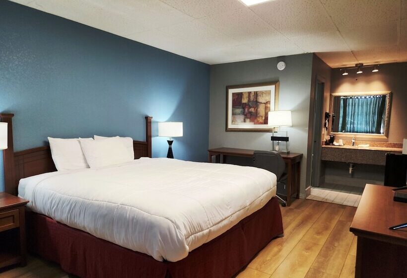 ホテル Executive Inn