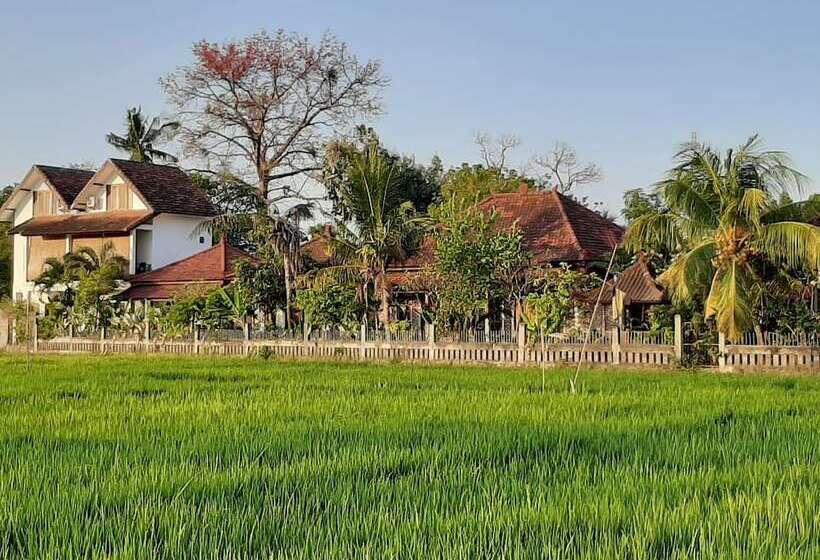 ホテル Lovina Vibes