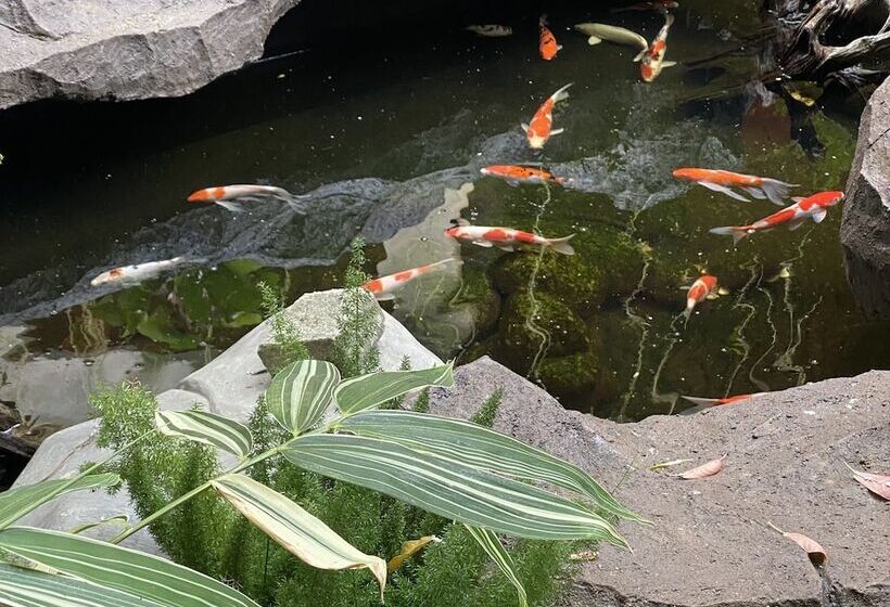 בית מלון כפרי Pariban