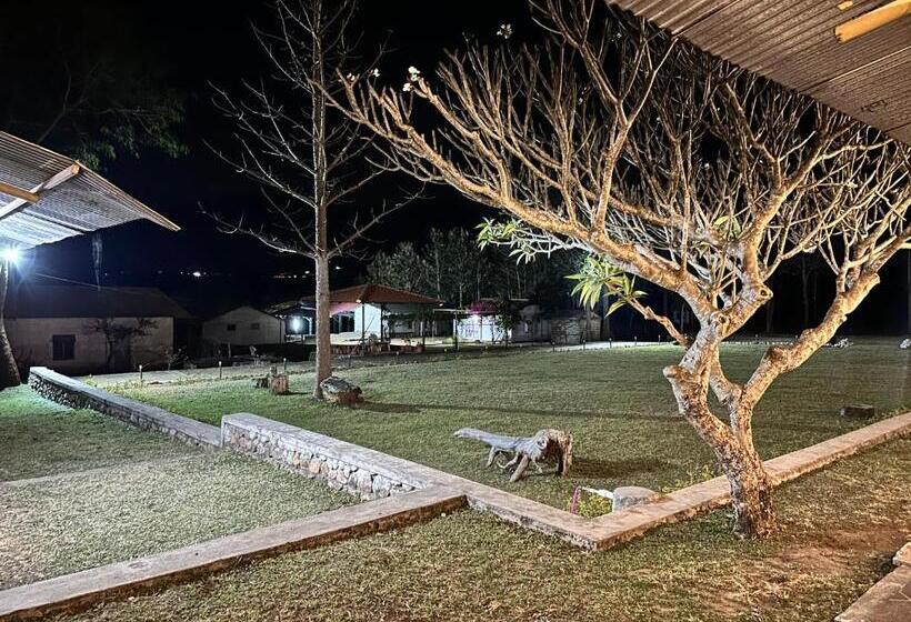 בית מלון כפרי Singaras Coffee Country