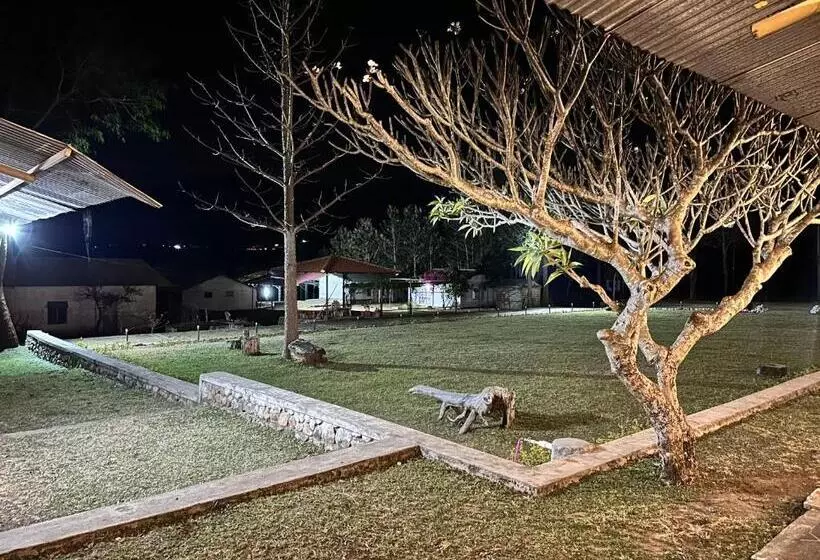 Hotelli Singaras Coffee Country