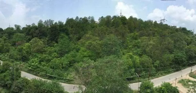 هتل The Forest Hill