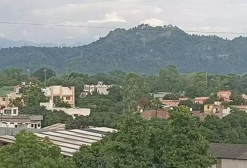 هتل The Forest Hill