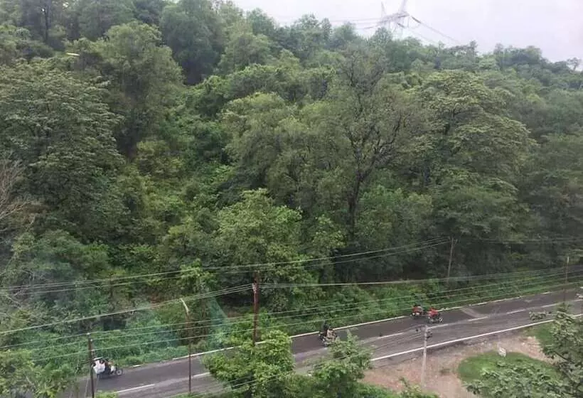 هتل The Forest Hill