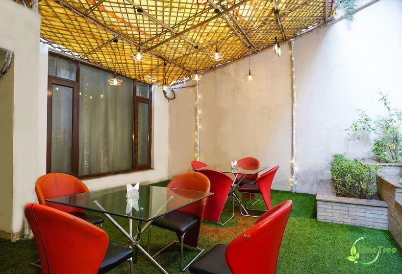 Lime Tree Hotel Sushant Lok Gurgaon