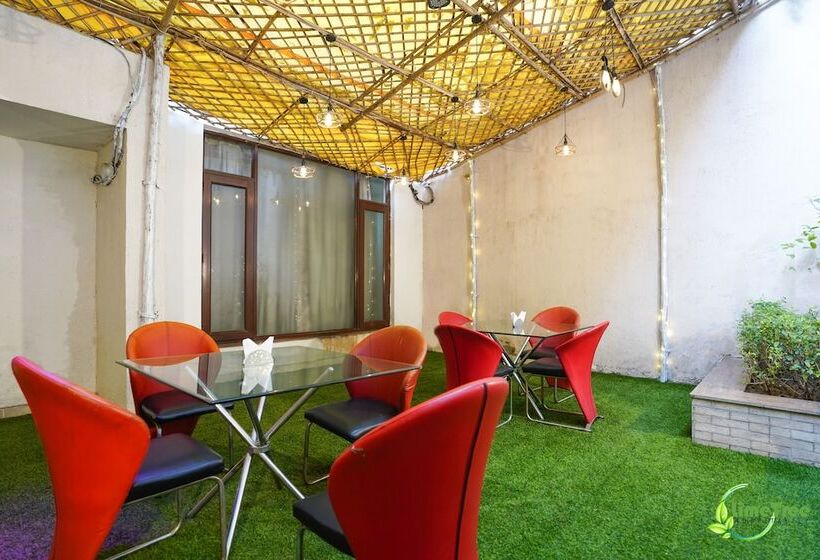 Lime Tree Hotel Sushant Lok Gurgaon