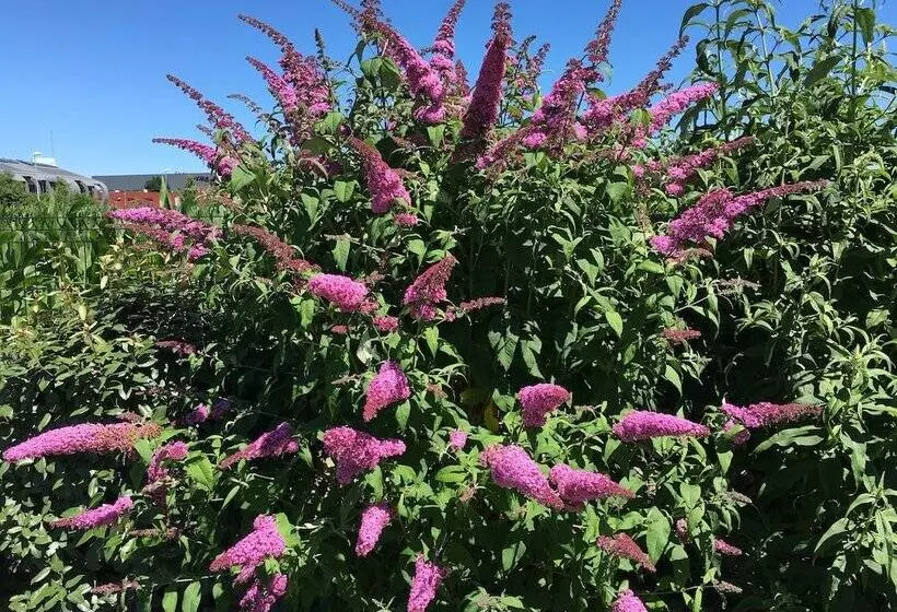 ホテル Kyriad Dol De Bretagne