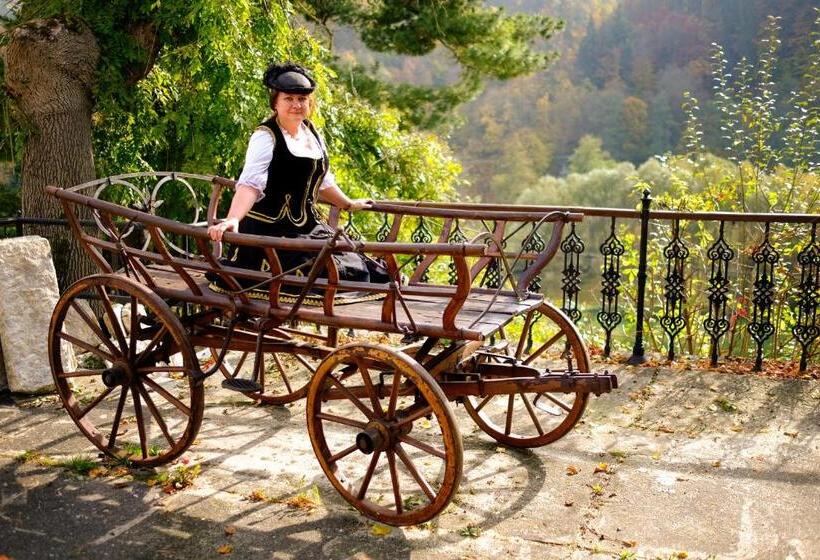 هتل U Bílého Koně