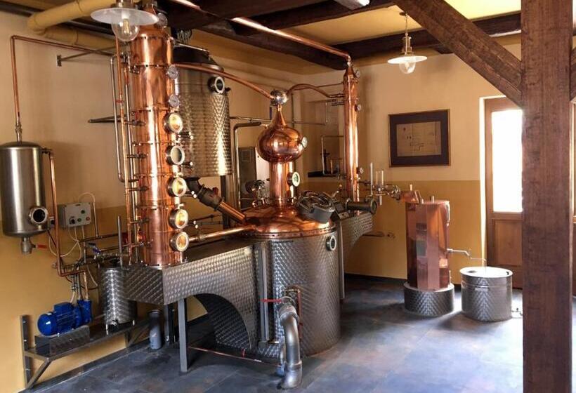 هتل U Bílého Koně