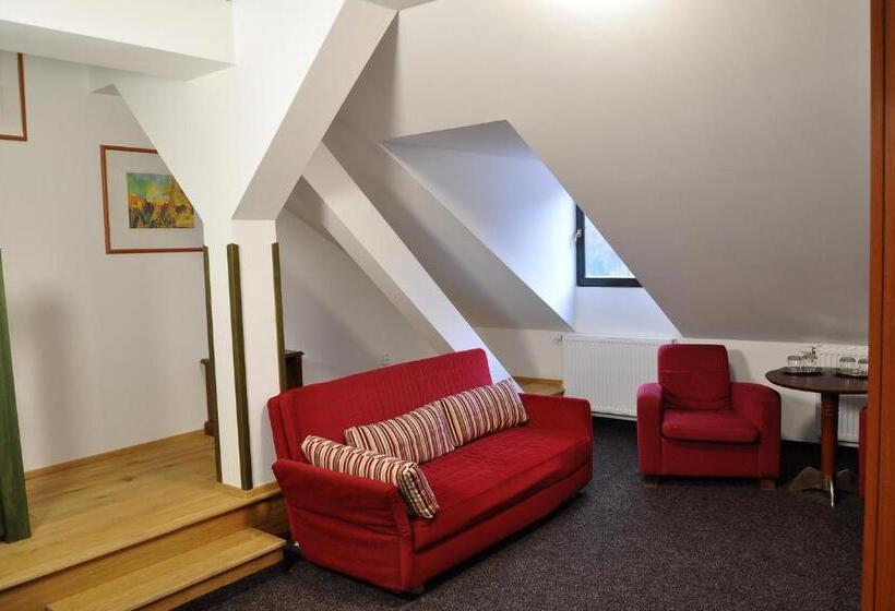 هتل U Bílého Koně