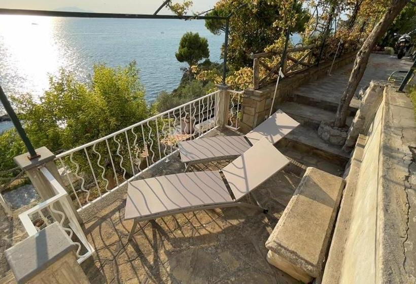 ペンション Di Capua House