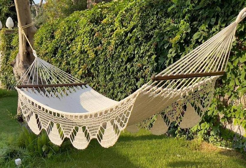 ペンション Di Capua House