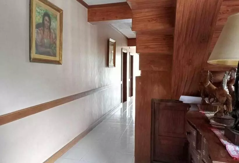 ユースホステル Small Room In Casa De Piedra Pension House
