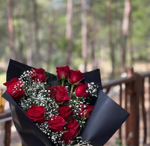 住宿加早餐 Pydnai_village