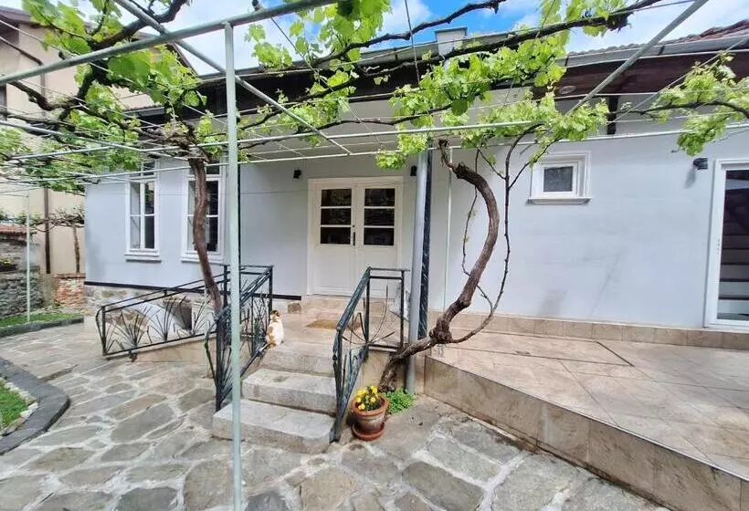 Musala 1 Bed & Breakfast