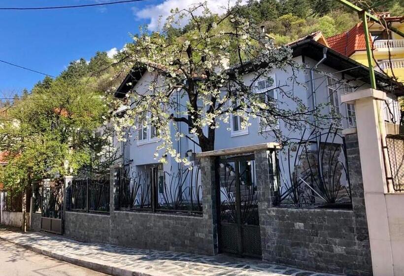 Musala 1 Bed & Breakfast