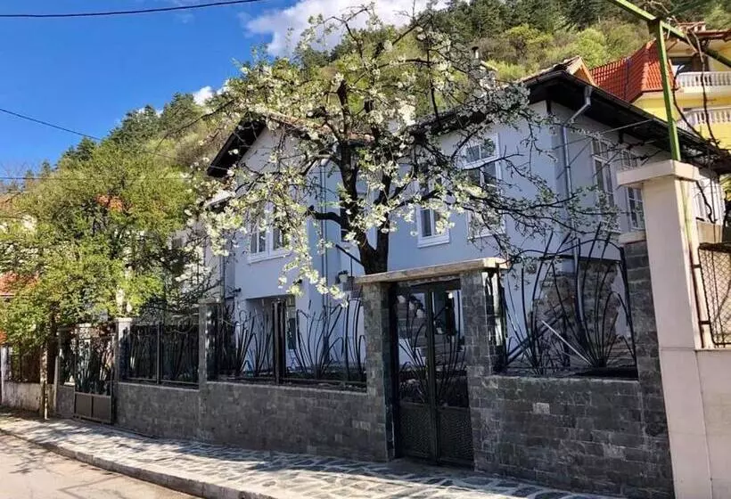 Musala 1 Bed & Breakfast