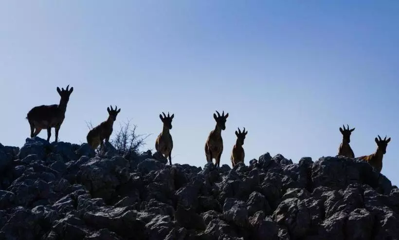 Majatalo Casa De Los Cuadros