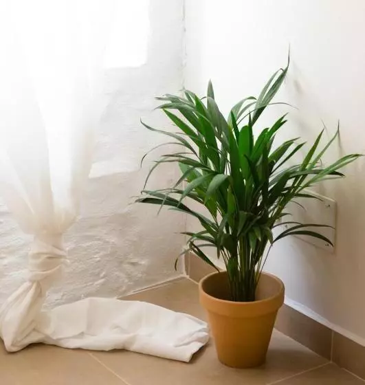 Majatalo Casa De Los Cuadros