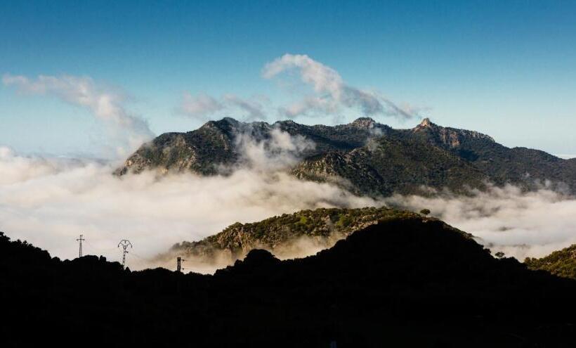 Пансион Casa De Los Cuadros