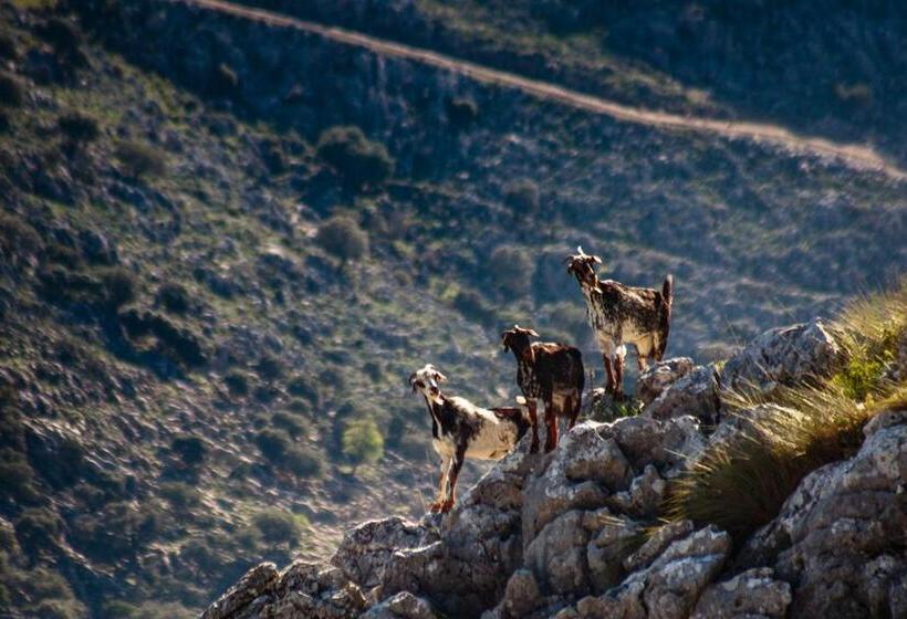 Пансион Casa De Los Cuadros