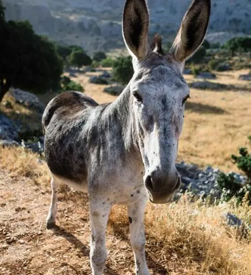 Majatalo Casa De Los Cuadros