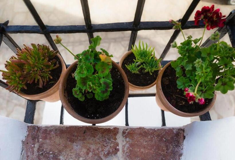 Пансион Casa De Los Cuadros