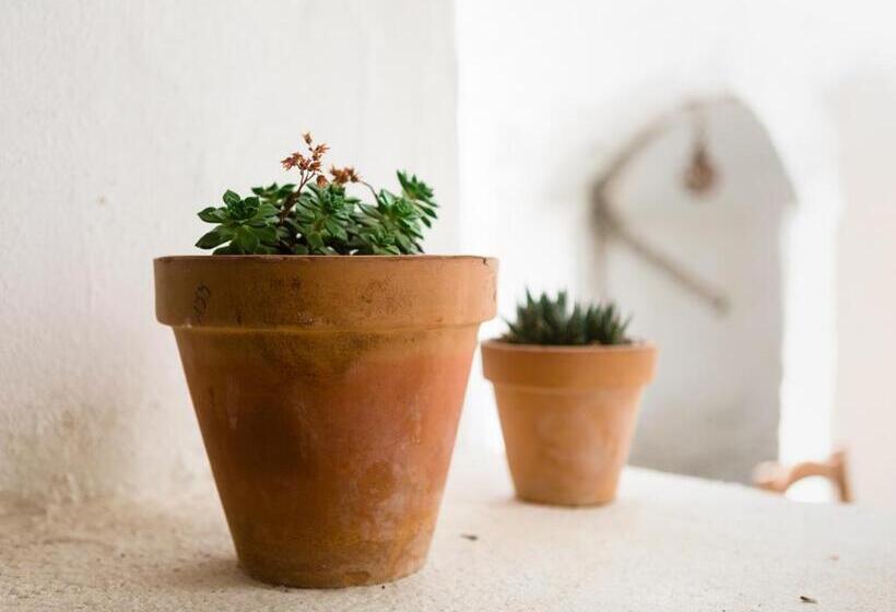 Пансион Casa De Los Cuadros