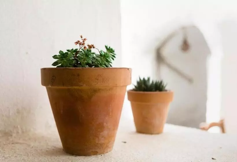 Majatalo Casa De Los Cuadros