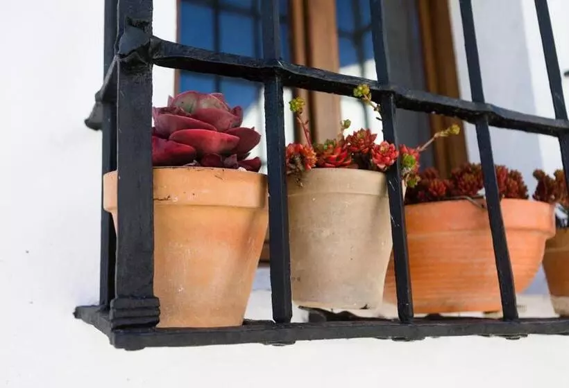 Majatalo Casa De Los Cuadros