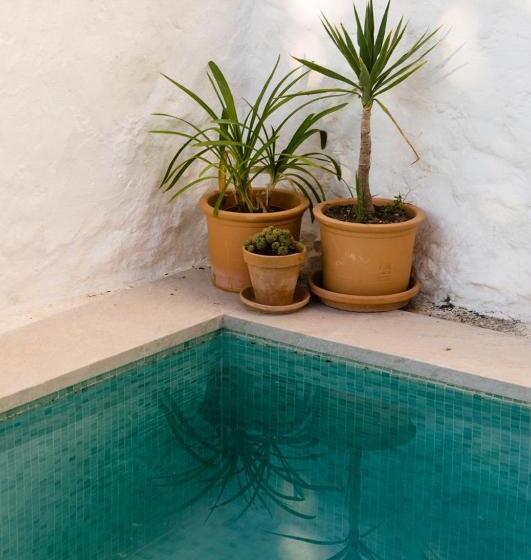 Пансион Casa De Los Cuadros