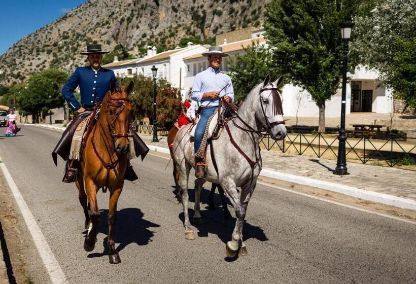 Пансион Casa De Los Cuadros