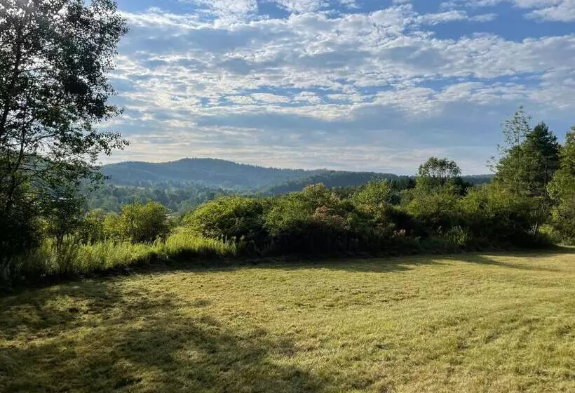 ペンション Cozy Country Get Away Studio At Firefly Acres