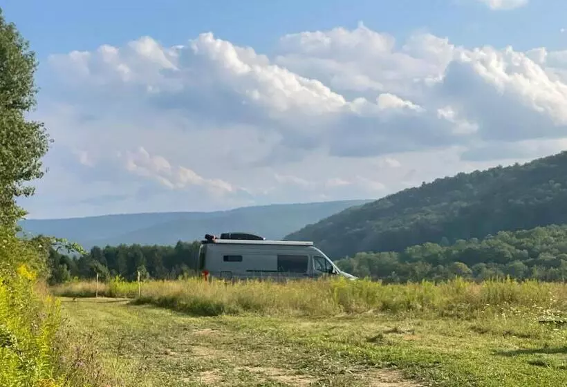ペンション Cozy Country Get Away Studio At Firefly Acres