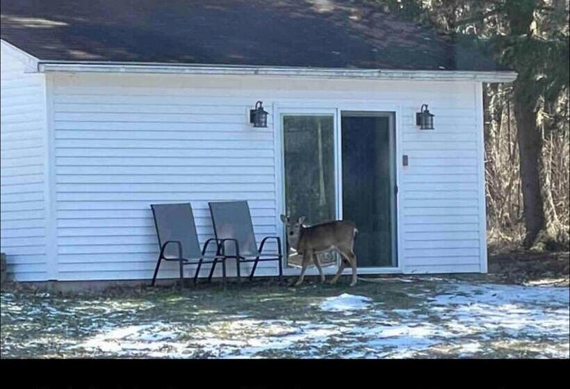 Пансион Cozy Country Get Away Studio At Firefly Acres