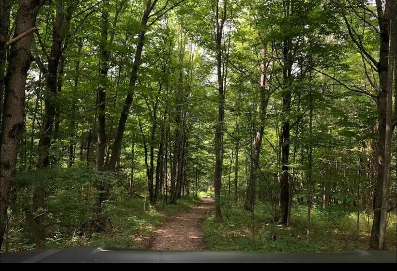 Пансион Cozy Country Get Away Studio At Firefly Acres