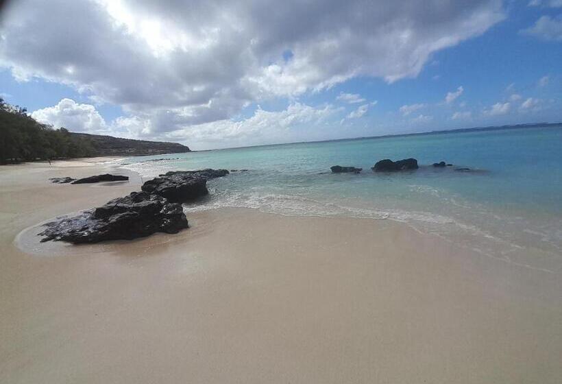 پانسیون Hébergement Le Tammier