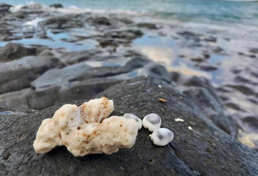 پانسیون Hébergement Le Tammier