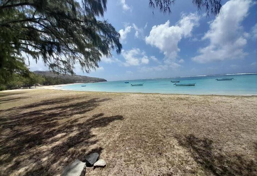 پانسیون Hébergement Le Tammier