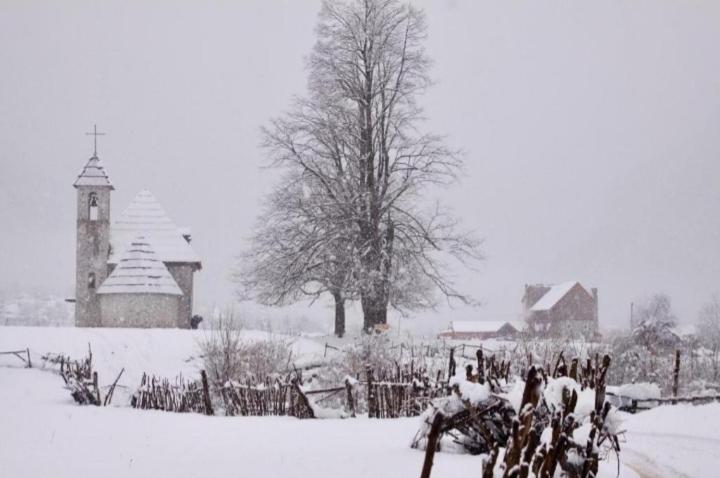 پانسیون Mikel Center Theth Guesthouse