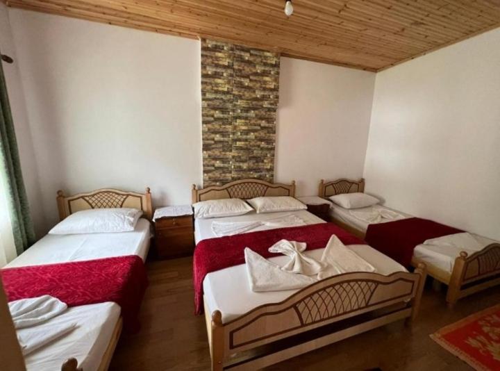 پانسیون Mikel Center Theth Guesthouse