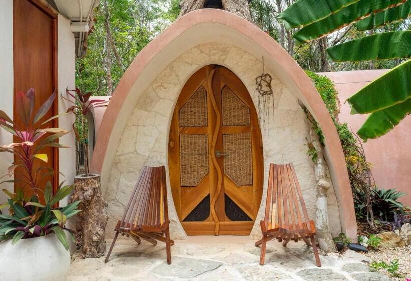 פנסיון Room In Lodge   Ecolush Couple Mayan Dome Cenote Bikes