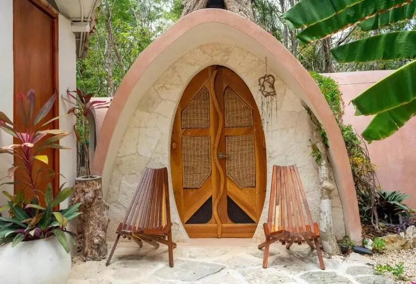 ペンション Room In Lodge   Ecolush Couple Mayan Dome Cenote Bikes