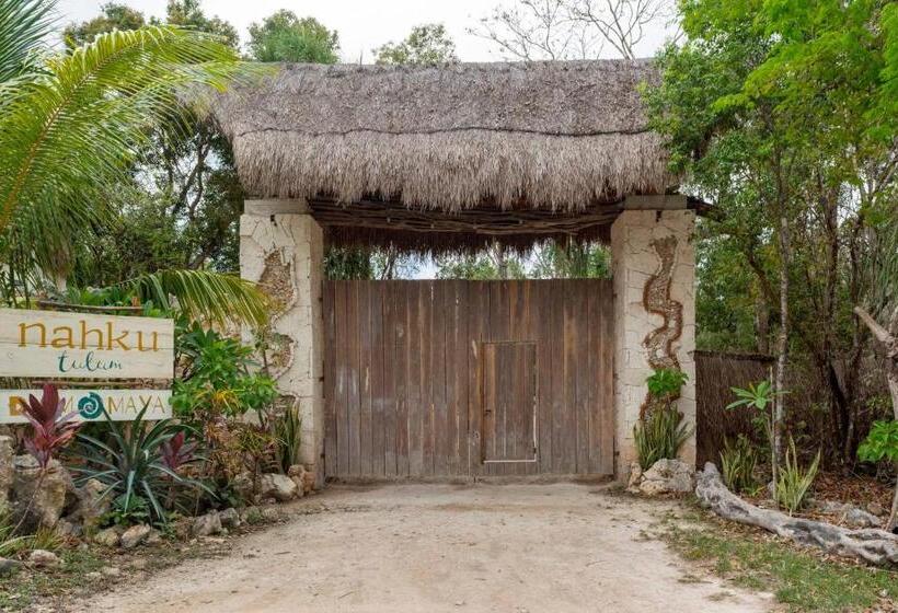 פנסיון Room In Lodge   Ecolush Couple Mayan Dome Cenote Bikes