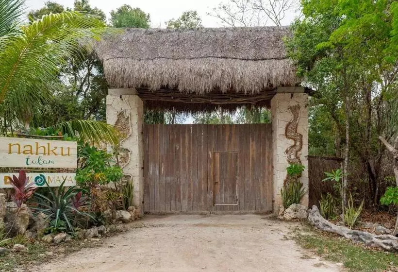 ペンション Room In Lodge   Ecolush Couple Mayan Dome Cenote Bikes