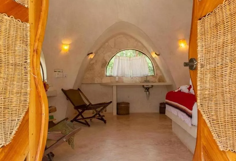 ペンション Room In Lodge   Ecolush Couple Mayan Dome Cenote Bikes
