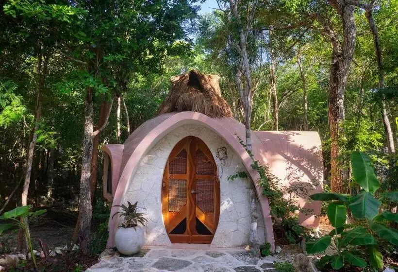 ペンション Room In Lodge   Ecolush Couple Mayan Dome Cenote Bikes