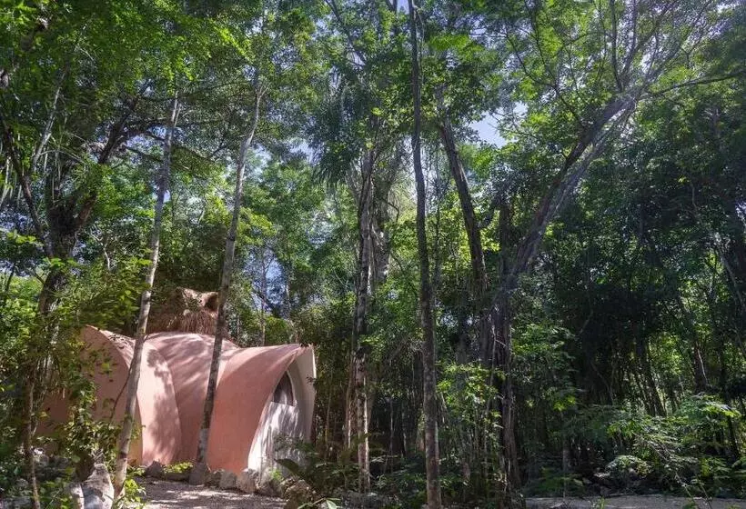 ペンション Room In Lodge   Ecolush Couple Mayan Dome Cenote Bikes