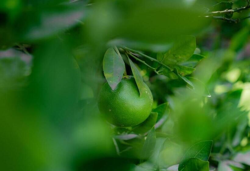 Pension Sar Guesthouse